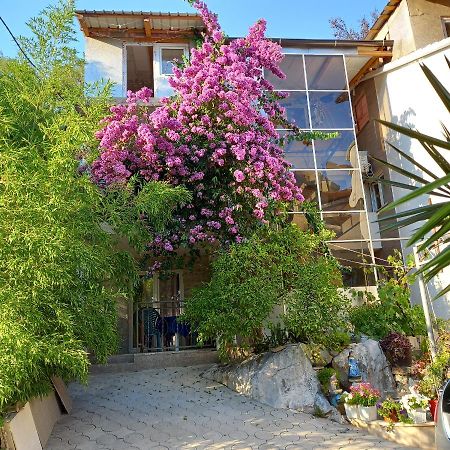 Bugenvilija Budva Exterior photo