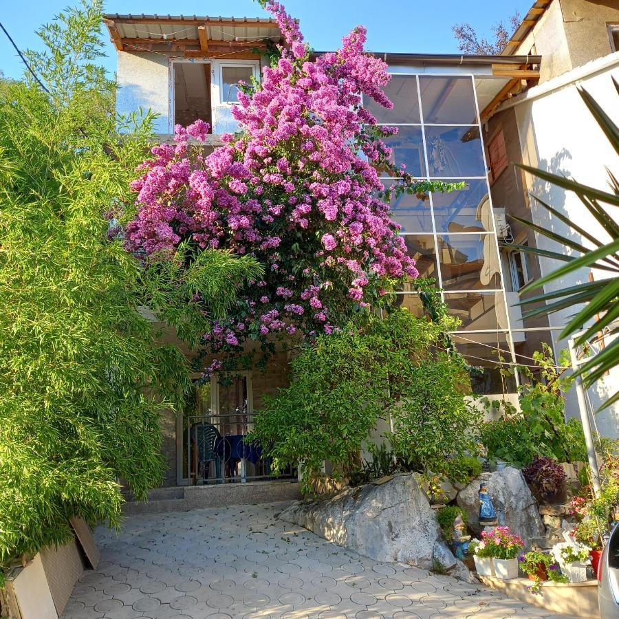 Bugenvilija Budva Exterior photo
