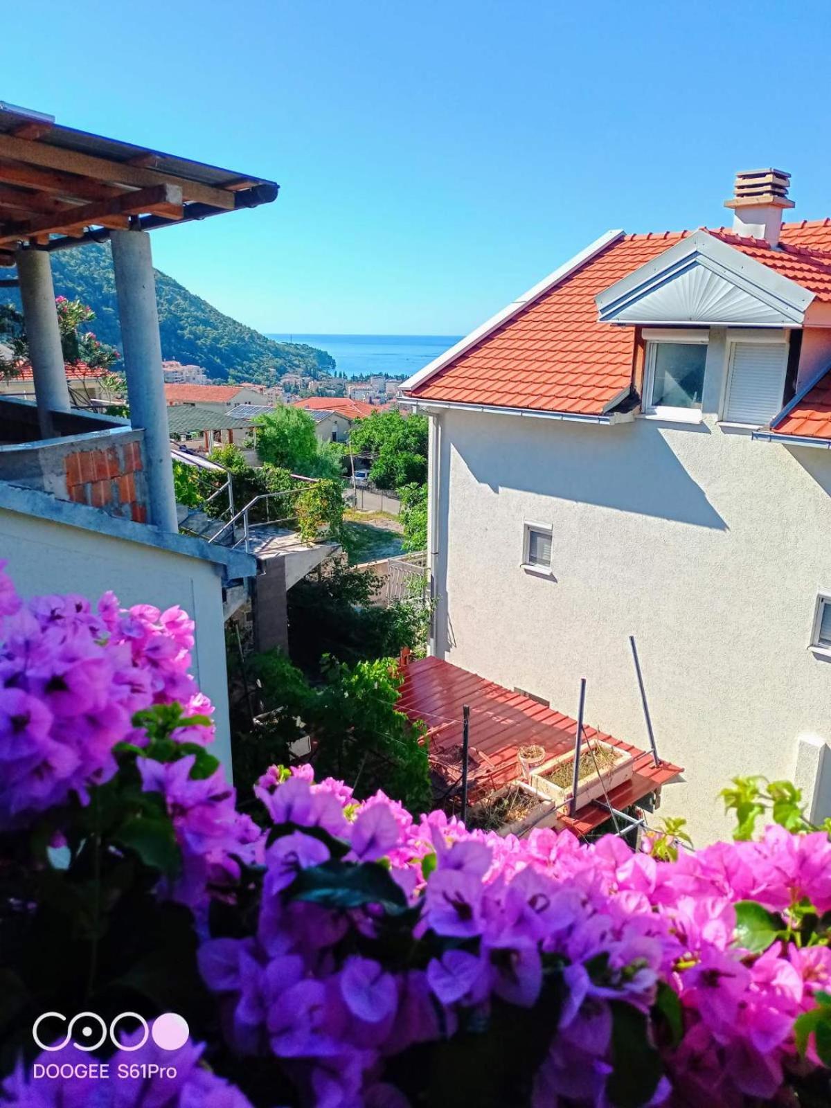 Bugenvilija Budva Exterior photo